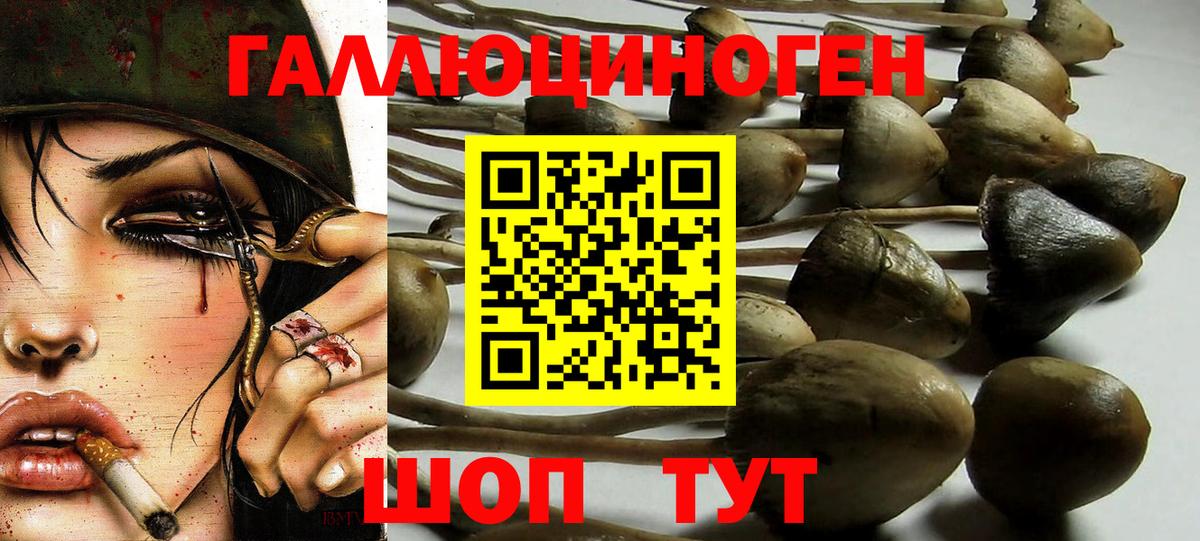 Екатеринбург  Галлюциногенные грибы прущие грибы  Вход с VPN 